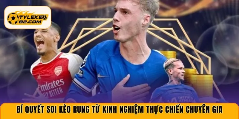 Bí quyết soi kèo rung từ kinh nghiệm thực chiến chuyên gia