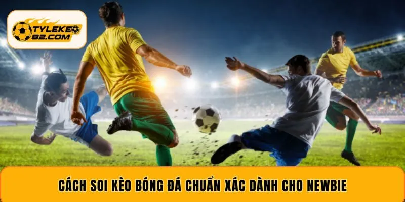 Cách soi kèo bóng đá chuẩn xác dành cho newbie