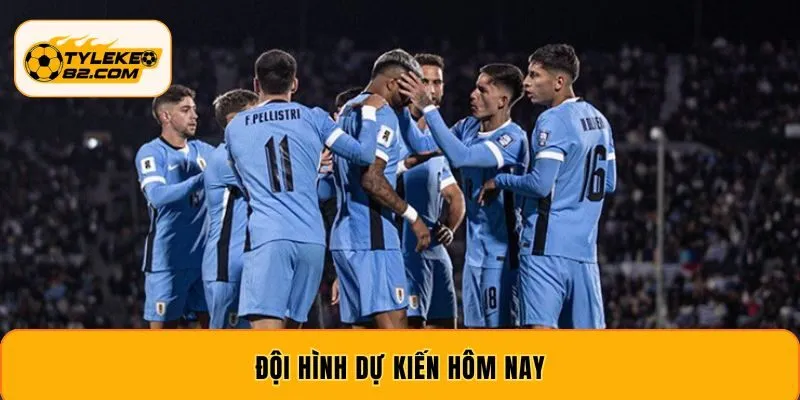 Cập Nhật Đội Hình Dự Kiến Hôm Nay Nhanh Chóng Nhất