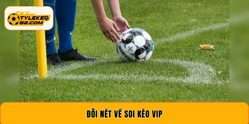 Đôi nét về soi kèo Vip