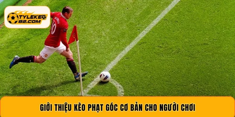 Giới thiệu kèo phạt góc cơ bản cho người chơi