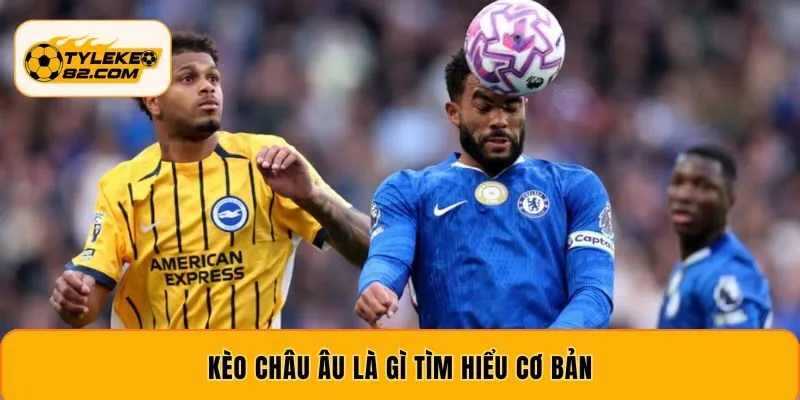 Kèo châu âu là gì tìm hiểu cơ bản