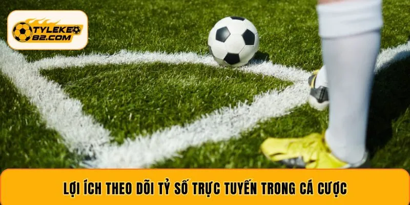 Lợi ích theo dõi tỷ số trực tuyến trong cá cược