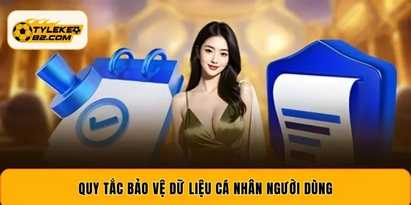 Quy tắc bảo vệ dữ liệu cá nhân người dùng
