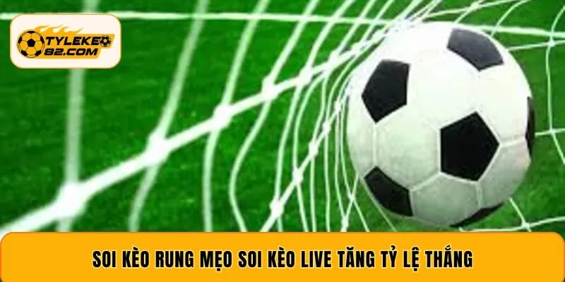 Soi Kèo Rung – Mẹo Soi Kèo Live Giúp Tăng Tỷ Lệ Thắng