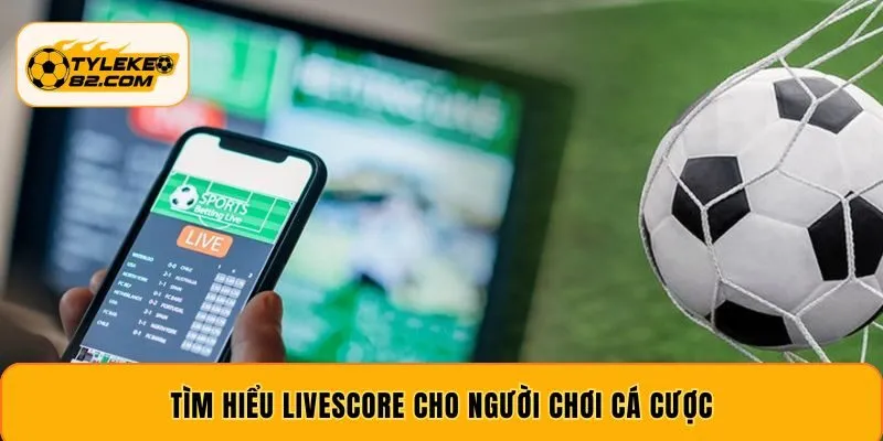 Tìm hiểu livescore cho người chơi cá cược
